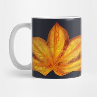 Orange autumn leaves Mug